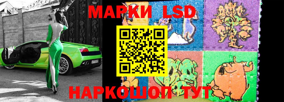 Марки 25I-NBOMe 1,5мг Лесной