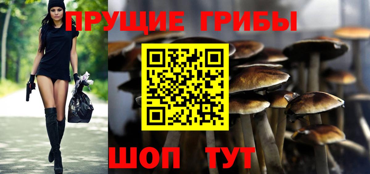 Лесной  где продают   Вход с VPN  Галлюциногенные грибы прущие грибы  Галлюциногенные грибы Psilocybe 